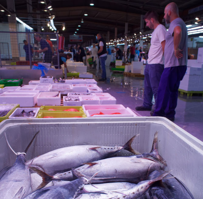 img-pescados
